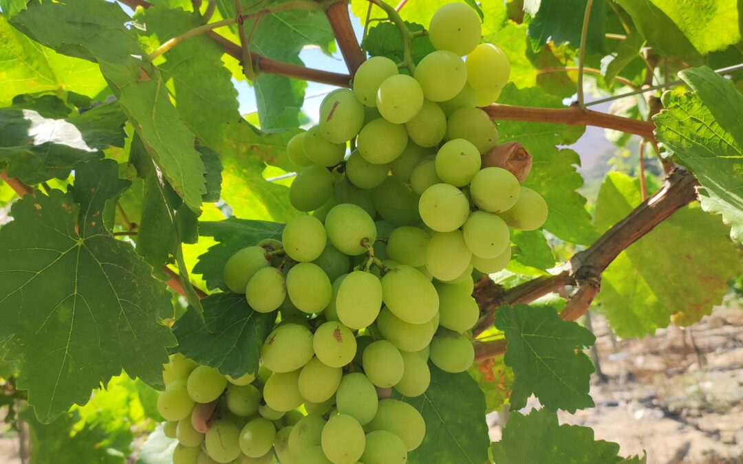 Tours a Cascas desde Trujillo