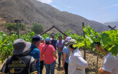Tours 3dias Trujillo